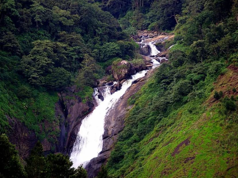 Tour Image